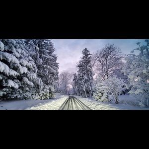 Meet your Posher, Georgia